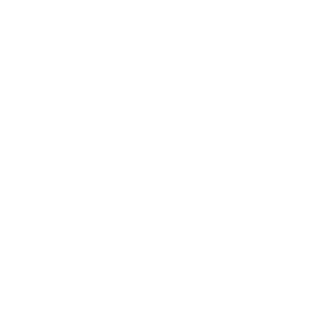 Diaslui Logo